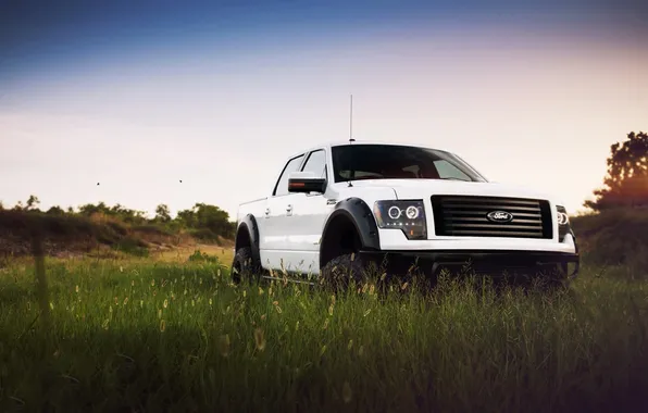 Picture white, the sky, grass, tuning, Ford, Ford, jeep, SUV