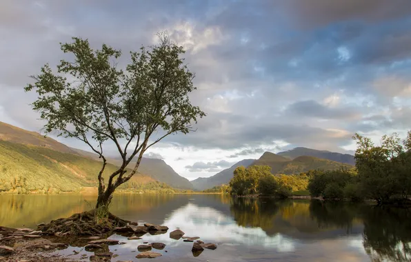 The sky, clouds, trees, mountains, lake