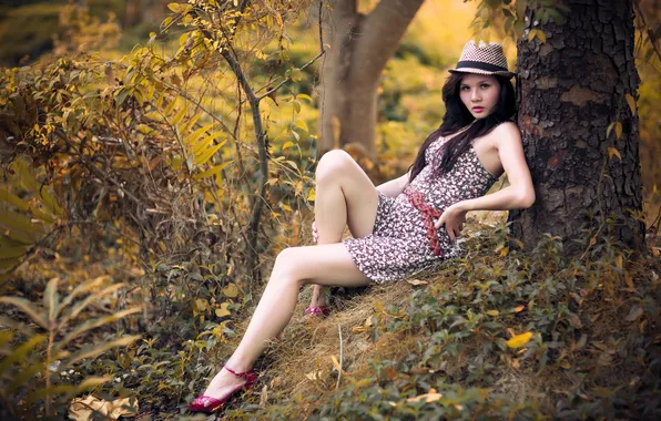 Background, Forest, Thy Anh