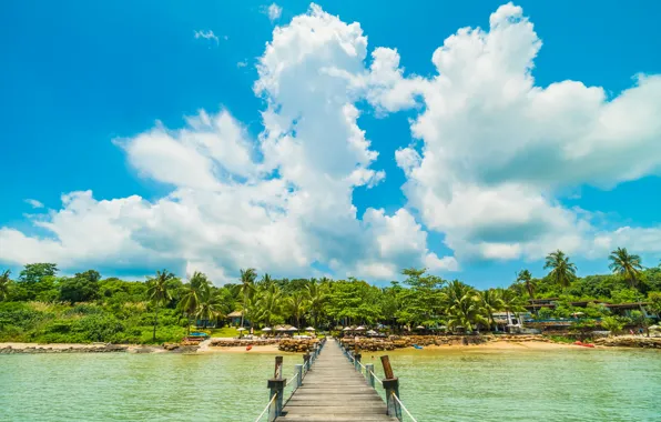 Sand, sea, wave, beach, summer, the sky, palm trees, shore
