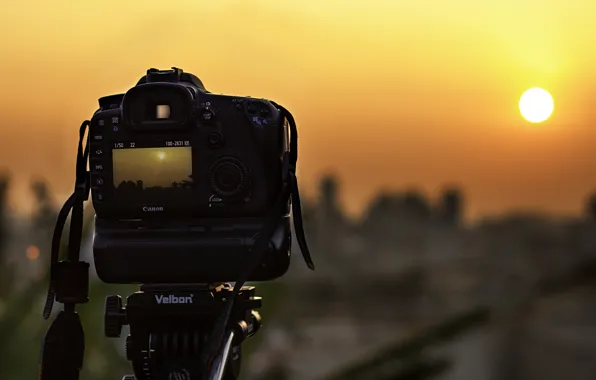Picture the sun, sunset, the camera, display, canon