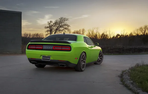 Sunset, View, Dodge, Challenger, Muscle Car, R/T 2015