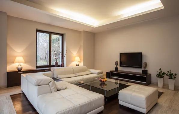 Picture house, flower, home, floor, fruits, furniture, indoors, horizontal