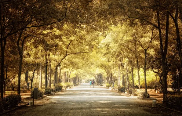 Picture autumn, the city, Park