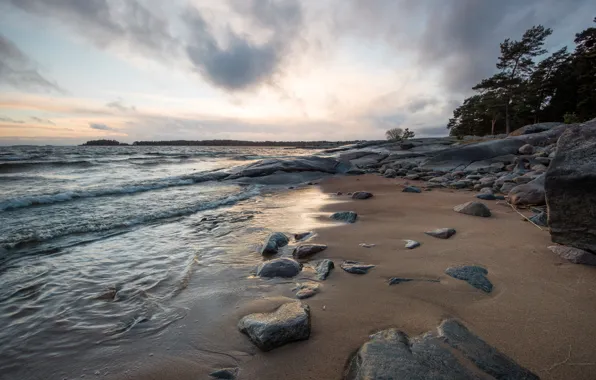 Sunset, Water, Sand, Beach, Wave, Trees, Shore, Stone