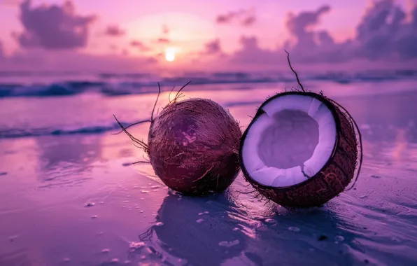 Sand, sea, beach, the sky, the sun, clouds, light, sunset