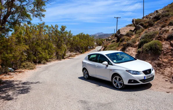 Road, trees, rocks, coupe, mountain, seat, leon, seat leon