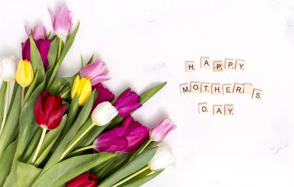 Flowers, colorful, tulips, pink, pink, flowers, tulips, spring