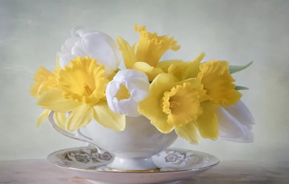 Picture flowers, bouquet, plate, Cup, tulips, daffodils
