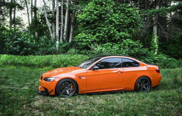 BMW, Black, E92, Wheels, Forest, M3