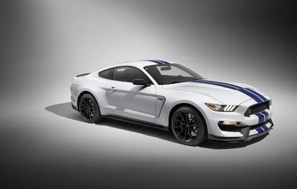Picture Mustang, Shelby, Car, GT350, Sportcar