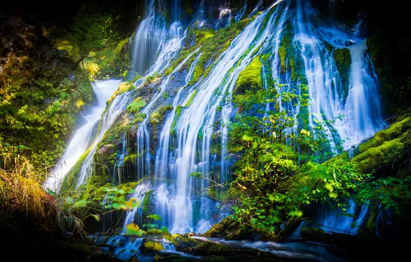 Greens, water, branches, the dark background, shore, vegetation, waterfall, stream
