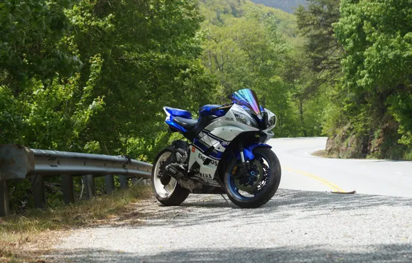 Picture white, yamaha, blue, yzf-r6