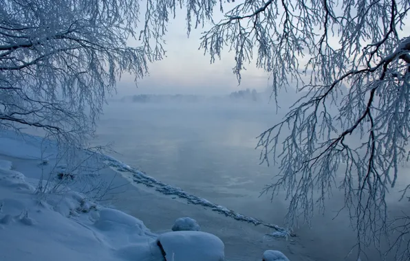Picture ice, winter, snow, trees, river, haze