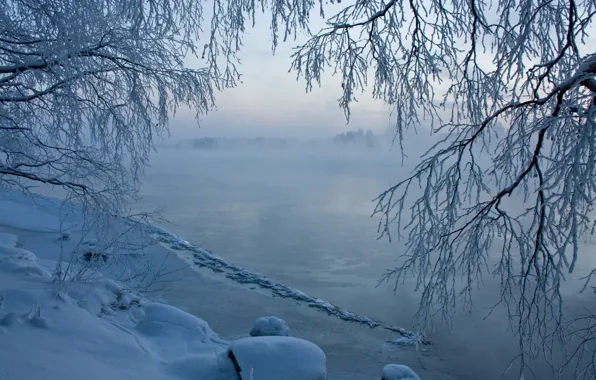 Ice, snow, trees, river, Winter, haze