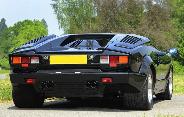 Picture trees, lamborghini, rear view, Lamborghini, countach, Countach