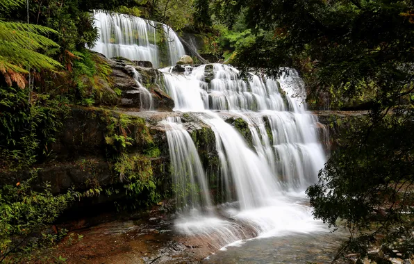 Forest, stream, stones, waterfall, Australia, thresholds, Tasmania