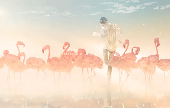 Birds, pack, guy, Flamingo, by 世