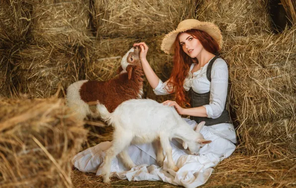 Picture look, girl, hat, hay, red, lamb, redhead, sheep