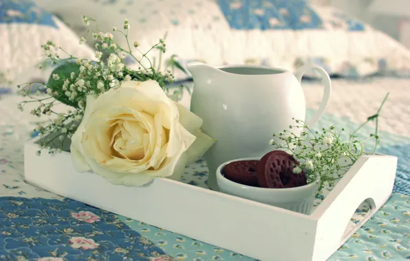 Tea, rose, food, cookies, cake, food, cup, sweet