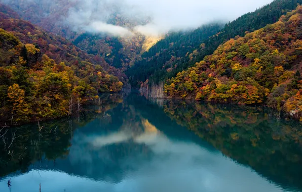 Picture forest, autumn, clouds, lake, mirror