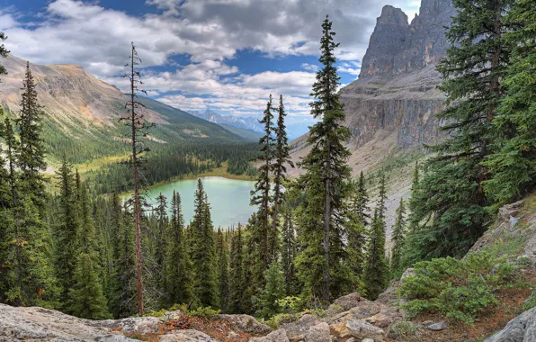 The sky, clouds, trees, mountains, lake