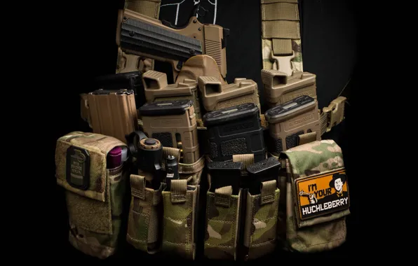 Gun, stores, ammunition, clips