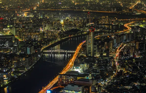 Picture lights, home, skyscrapers, panorama, Tokyo, megapolis