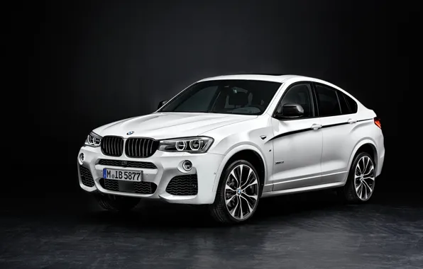 Picture BMW, xDrive, 2014, F26, Performance Accessories, 28i