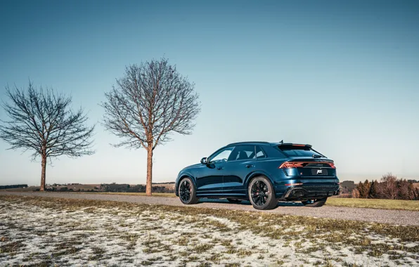 Audi, Germany, crossover, ABBOT, 2020, RS Q8