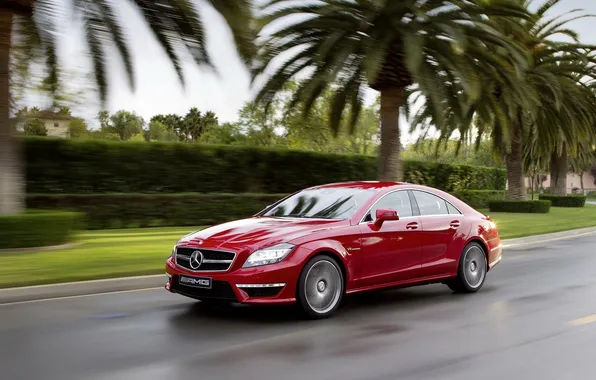 Auto, beauty, Mercedes-Benz CLS63 AMG