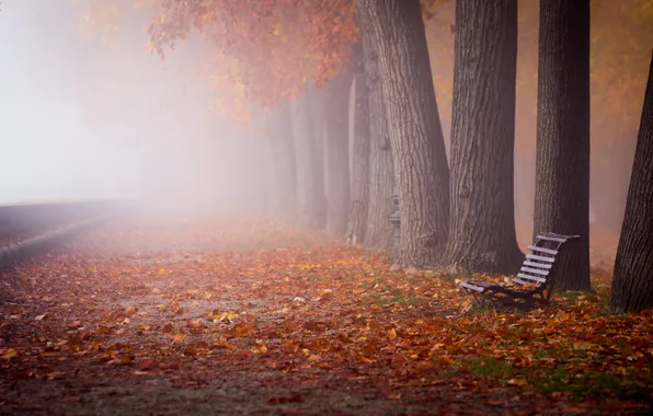 Autumn, leaves, the city, fog, street, bench