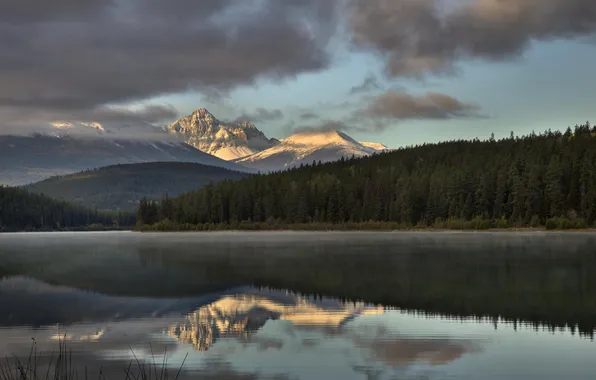 Forest, trees, mountains, nature, lake, reflection, river