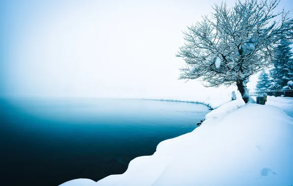 Winter, nature, fog, lake