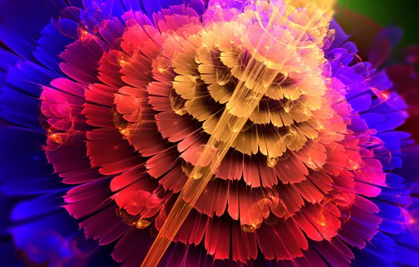 Abstraction, color, form