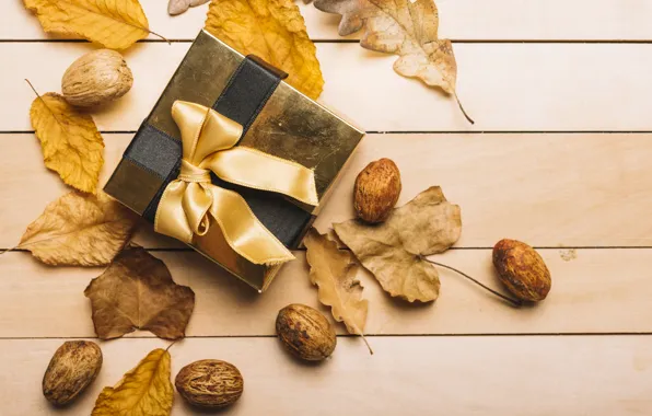 Picture autumn, leaves, background, tree, gift, colorful, tape, nuts