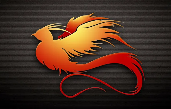 Orange, bird, tail, the dark background