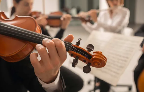 Violin, Notes, Musician, Strings