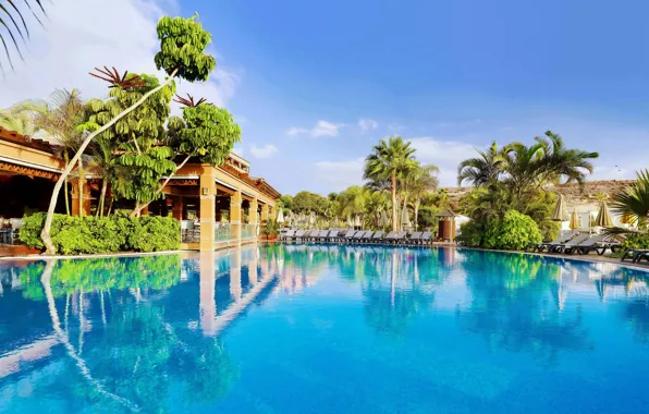 Reflection, palm trees, stay, pool, resort, Spain, Spain, Canary Islands