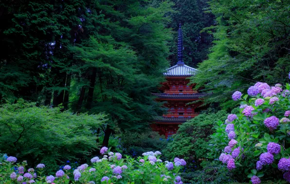 Greens, trees, flowers, Park, Japan, pagoda, Kyoto, the bushes