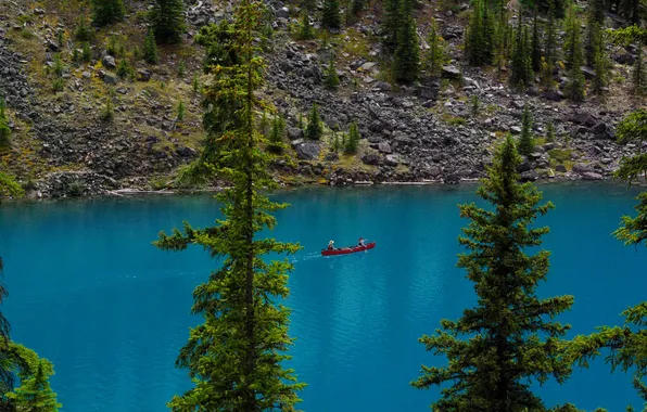 Picture trees, lake, stones, shore, boat, Canada, Albert, Banff National Park