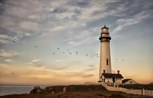 Picture sea, clouds, flight, lighthouse, seagulls, twilight