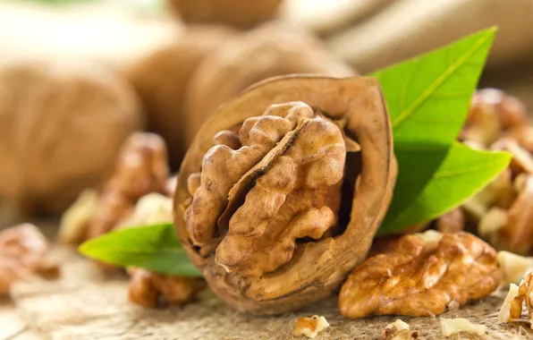 Leaves, macro, nuts, walnut, core