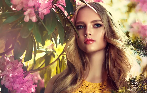 Picture leaves, the sun, flowers, branches, portrait, makeup, hairstyle, blonde