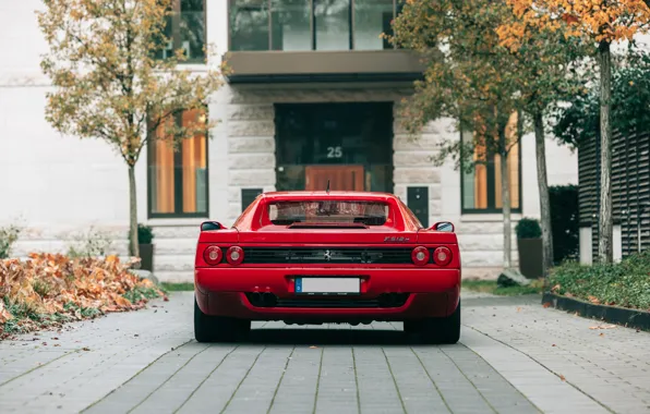 Picture Ferrari, rear, 512, Ferrari 512 M