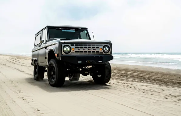 Beach, Ford, 2012, Bronco, ICON BR