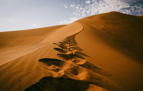 Sand, traces, Desert, hill, grit, desert, sand, dune