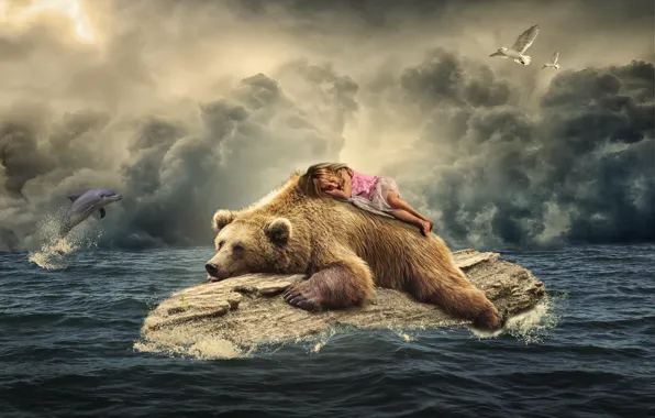 Sea, birds, Dolphin, seagulls, sleep, the situation, bear, girl