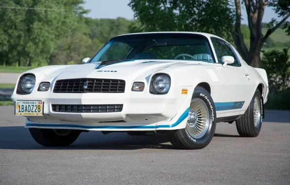Camaro, chevrolet, z28, 1979