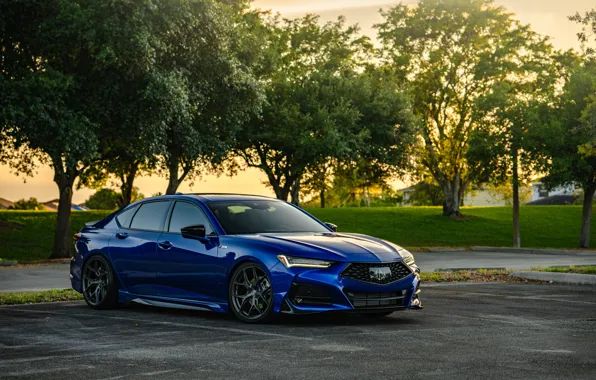 Blue, Acura, Trees, TLX